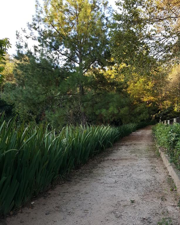 Pousada Recanto Dos Beija Flores Monte Alegre do Sul Kültér fotó