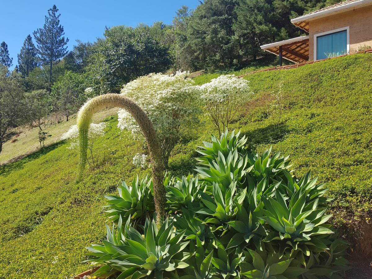 Pousada Recanto Dos Beija Flores Monte Alegre do Sul Kültér fotó