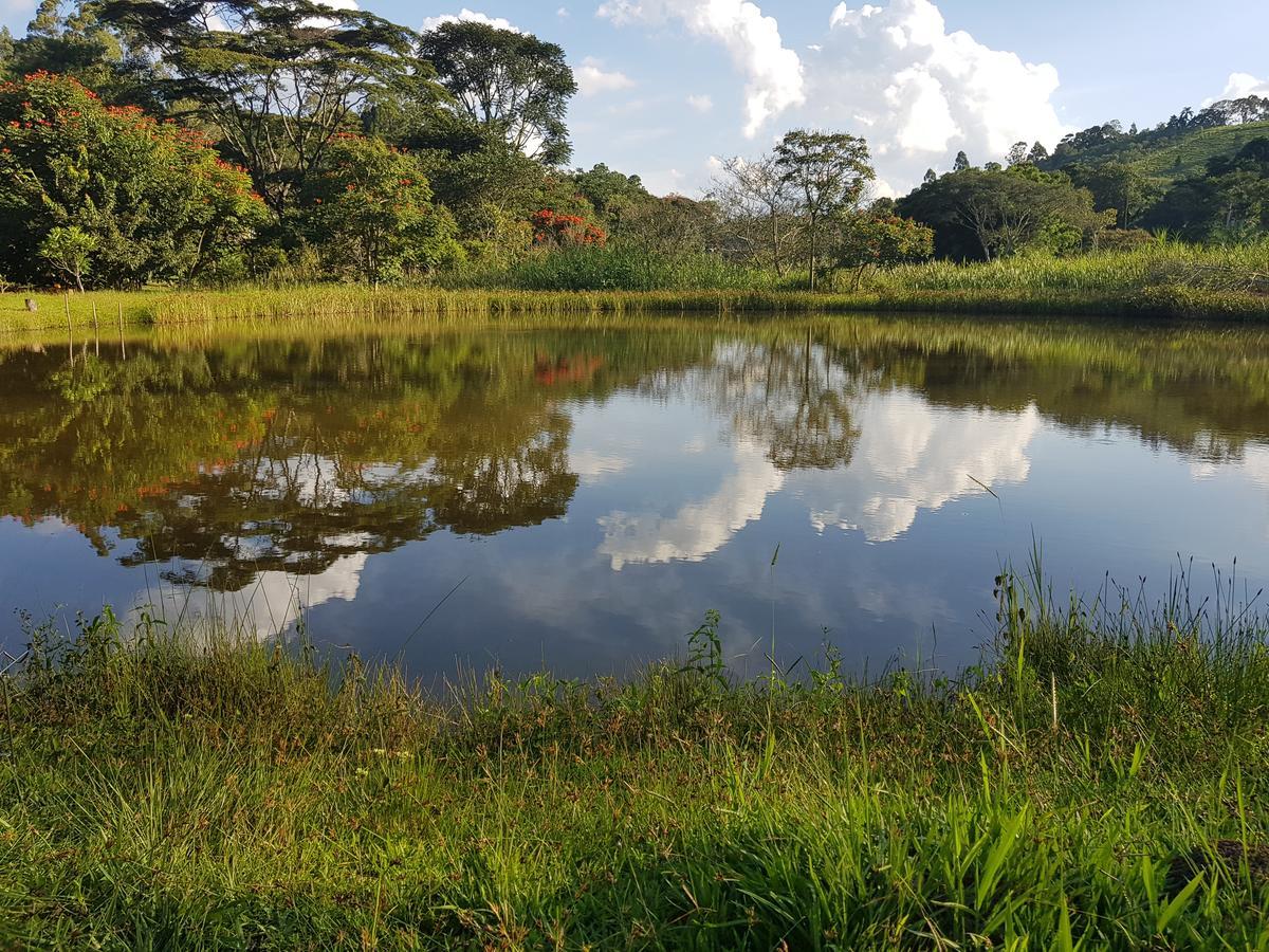 Pousada Recanto Dos Beija Flores Monte Alegre do Sul Kültér fotó
